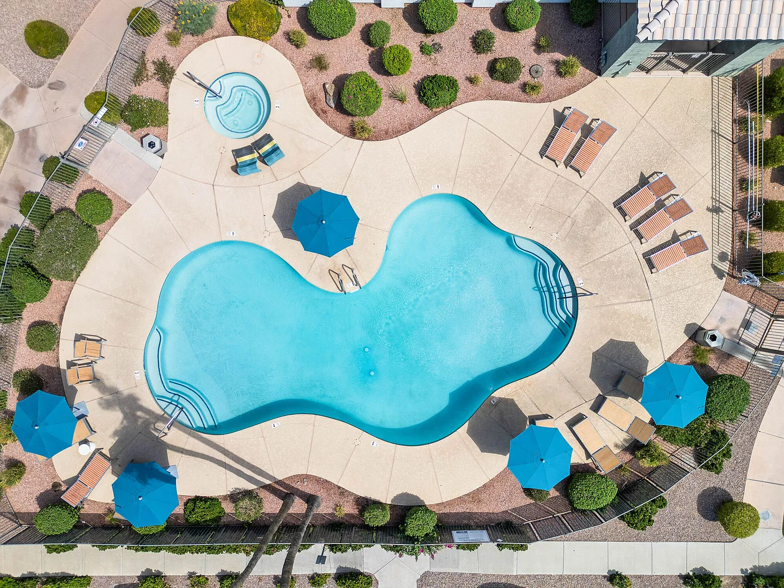 Palm Court Apartments — Photo 1