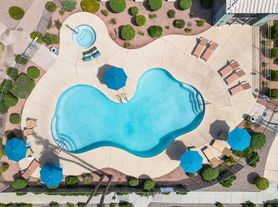Palm Court Apartments