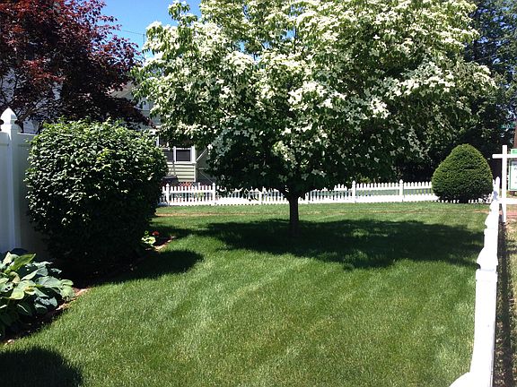 Beautiful front yard