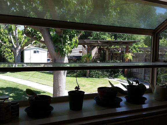 view out kitchen window