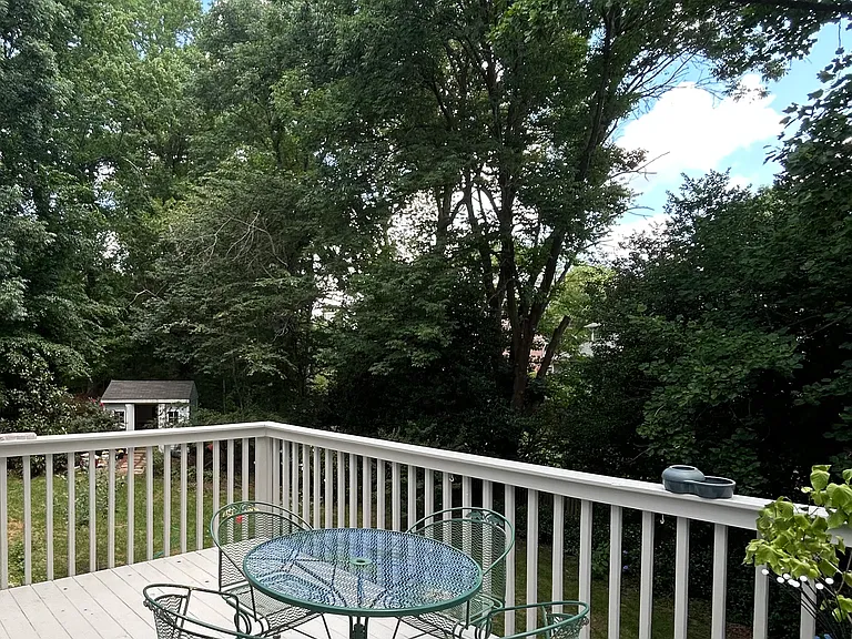 4406 Natural Lake Ct — Photo 9