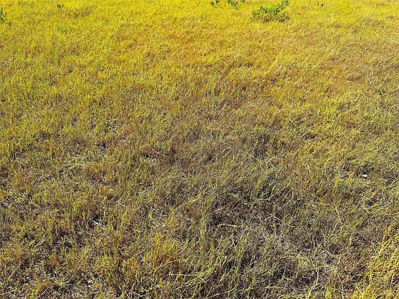 5th image of TRACT 1 Hayes Rd