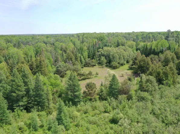 N Morrison Rd, West Branch, MI 48661