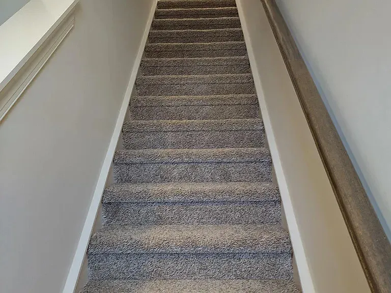 249 Netherlands Blvd — Photo 3