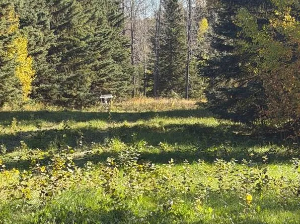6015 N Township Road 334, Mountain View County, AB T0M 1X0