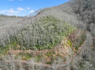 1824 Black Rock Rd #76, Qualla, NC 28719