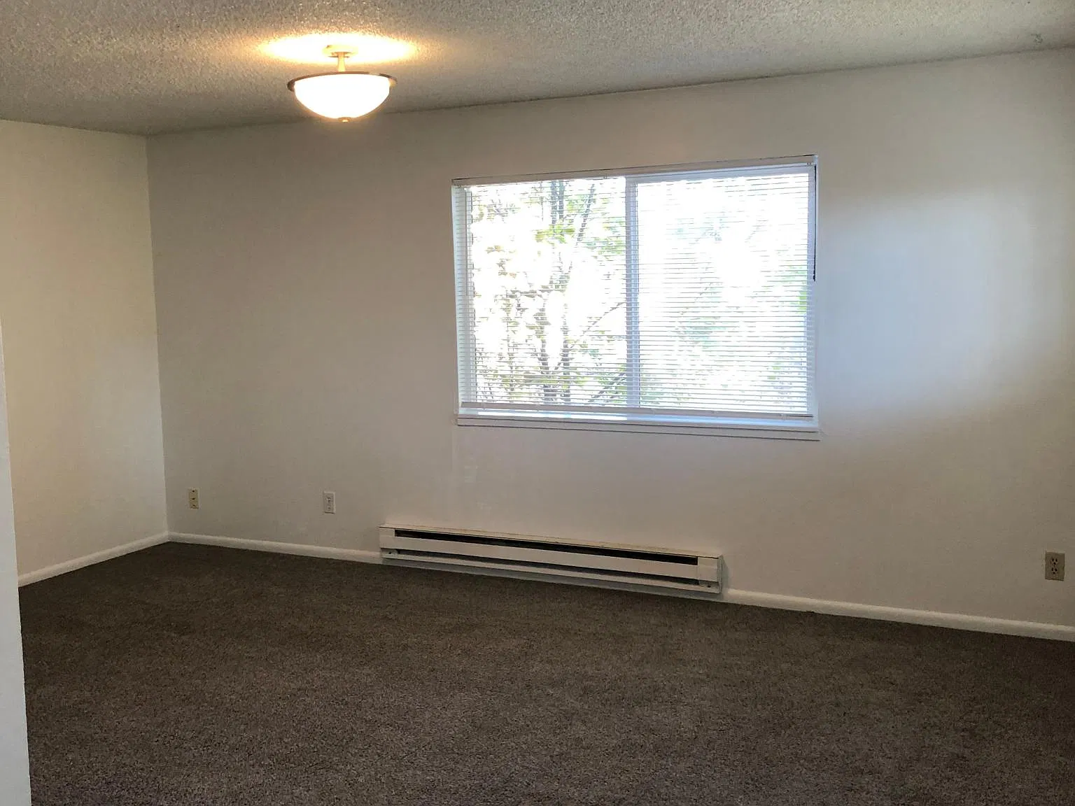 2 bed, 800 sqft, $1,250 — Photo 2