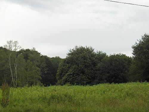 2nd image of LOT State Rd #F