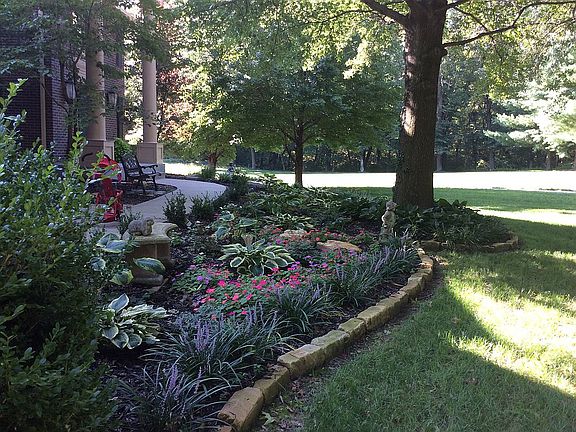 Front lawn in full bloom!