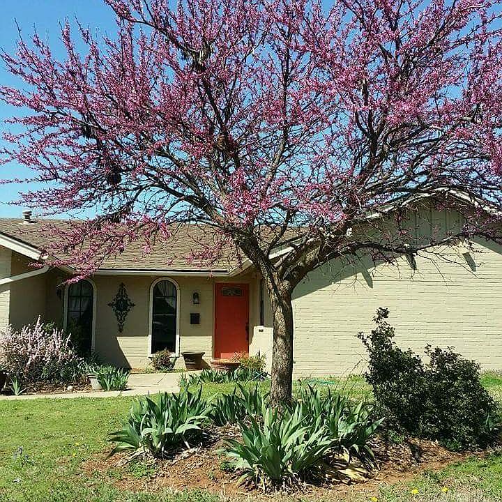 1st image of 317 Woodside Dr