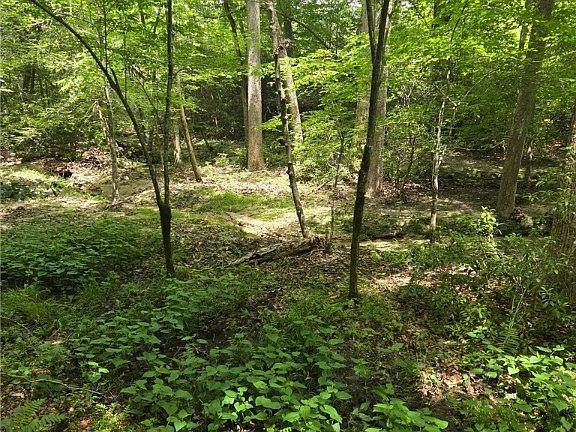 4th image of 1333 Stewarts Rd Lot 3