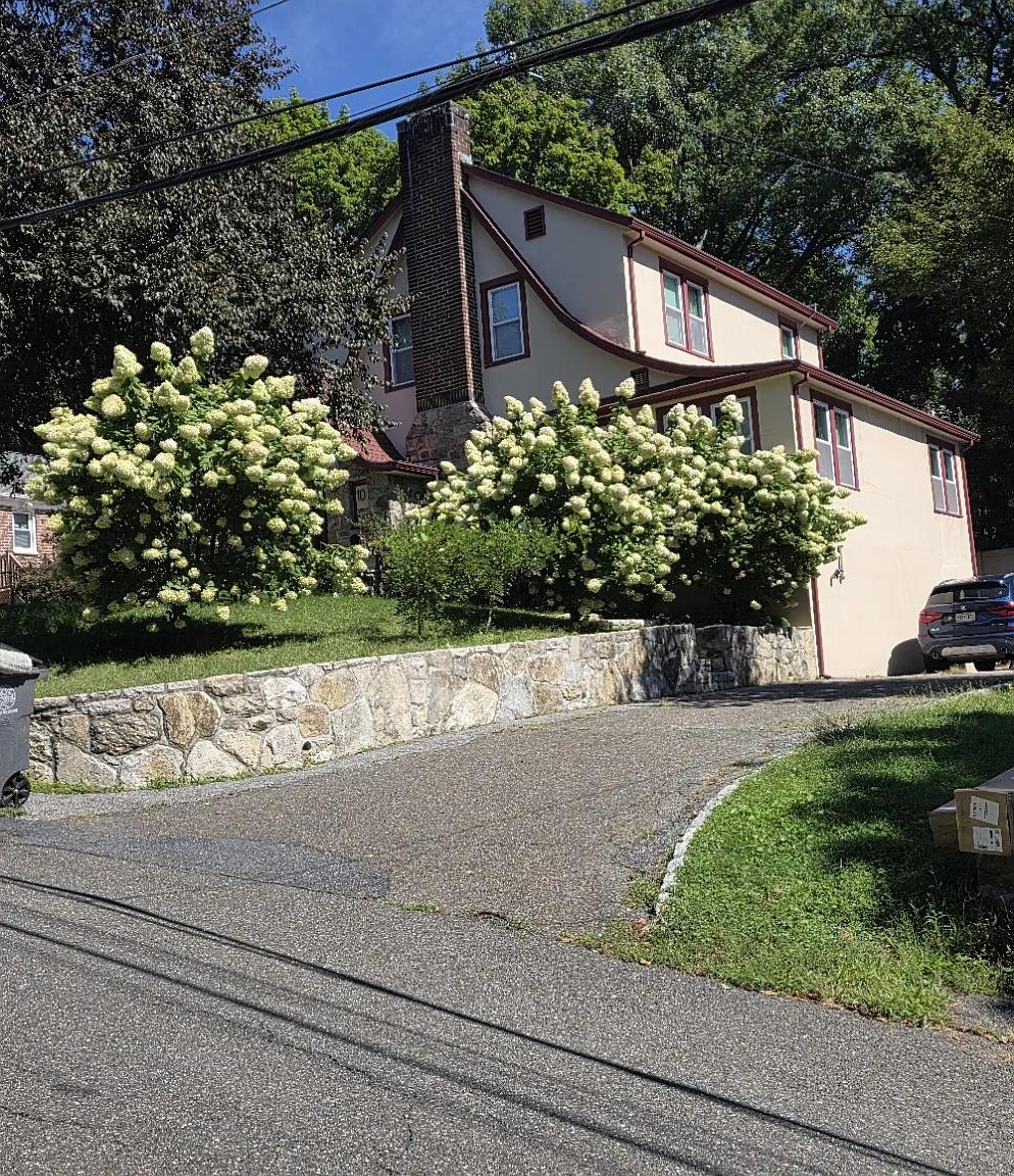 3 bed, 1.5 bath, 1853 sqft, $5,250 — Photo 3