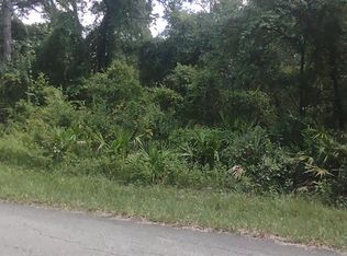 11895 County Road 682 #43, Webster, FL 33597