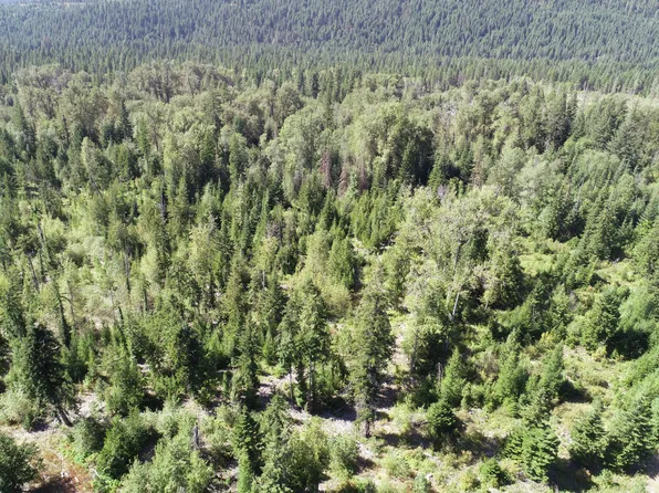 Xxx Hall Creek Rd, Inchelium, WA 99138