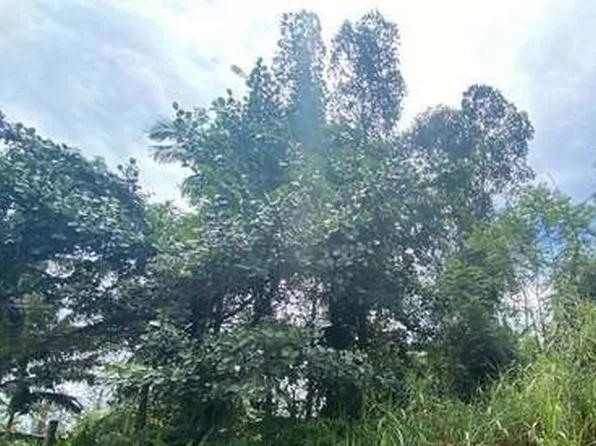 Plumeria Dr Lot 56, Pahoa, HI 96778