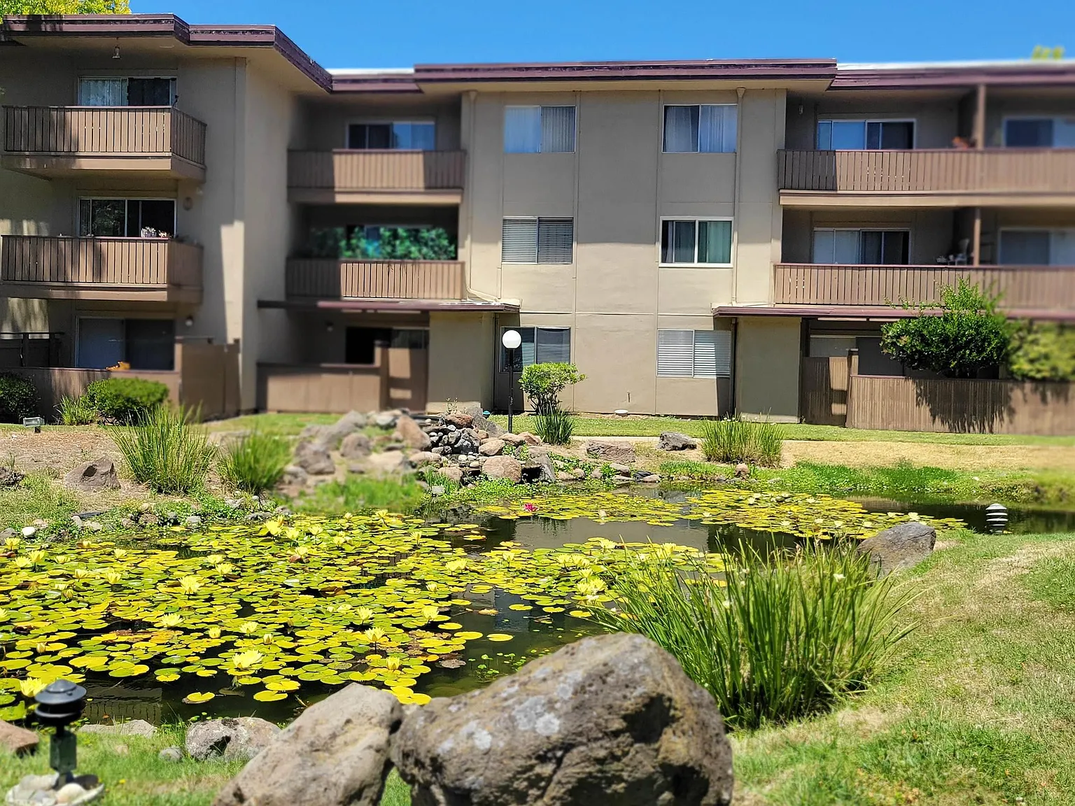 1 bed, 701 sqft, $2,295 — Photo 2