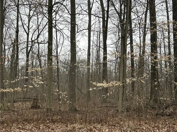 Pinella Ct, West Salem, OH 44287