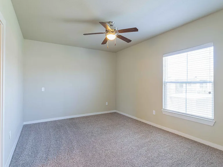 Century Palm Bluff — Photo 24