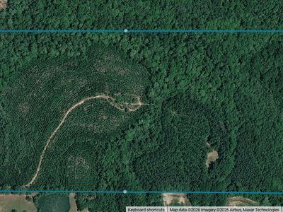 80/-AC Little Cedar Rd, Lucedale, MS, 39452