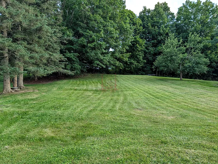 Back yard