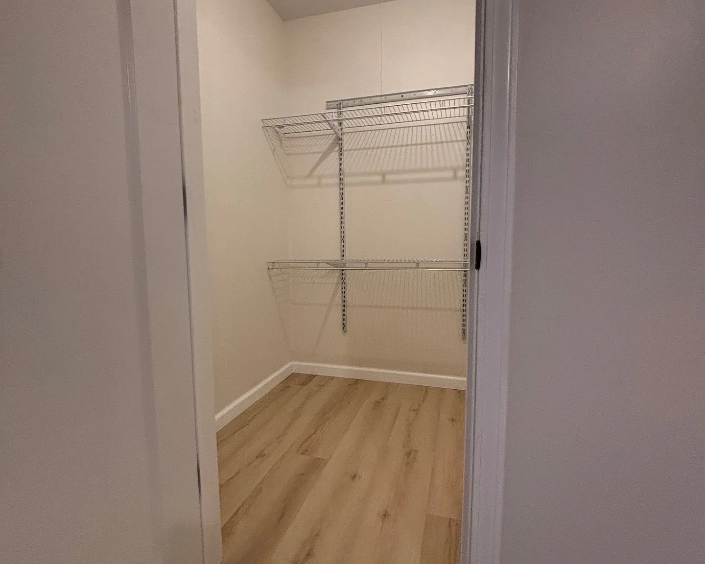 1 bed, 800 sqft, $995 — Photo 4