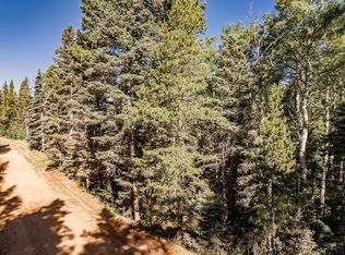 2824 Moir Dr, Fort Garland, CO 81133