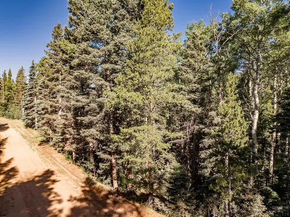 2824 Moir Dr, Fort Garland, CO 81133