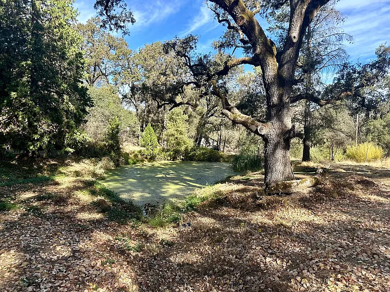 11292 Old Pond Ln — Photo 5