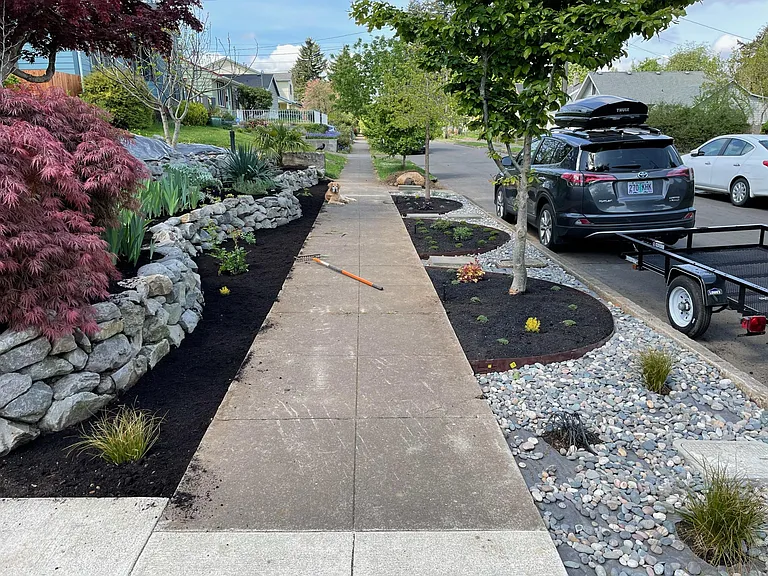 Front yard, parking strip