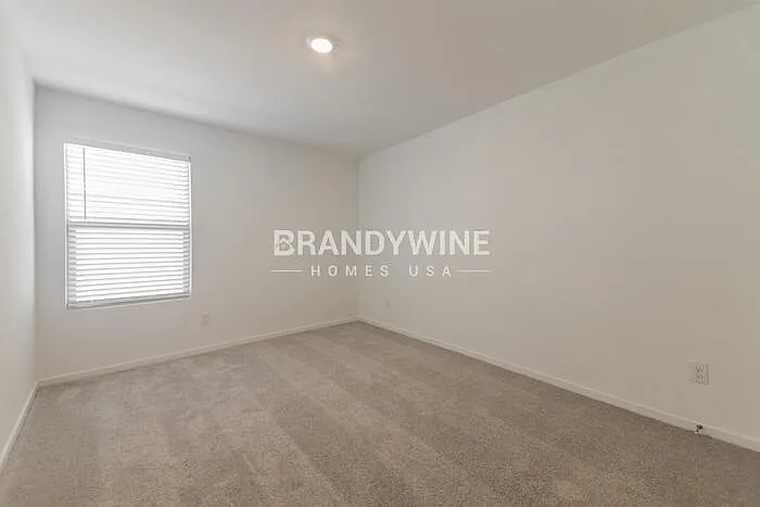 260 Backcountry Dr — Photo 16