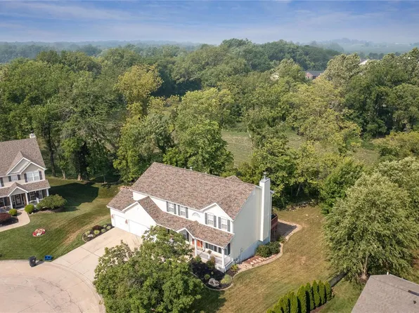 2413 Bobby Jones Ct, Belleville, IL 62220