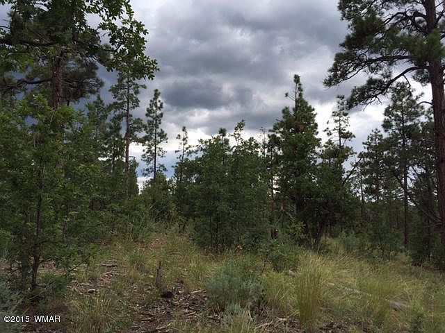 1st image of S Pine Wood Lane