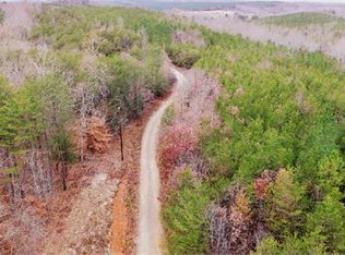 448 Big Gum Ct, Rutherfordton, NC 28139