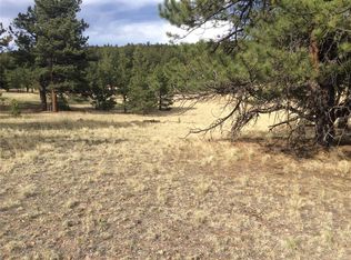 625 Mustang Trl, Florissant, CO 80816