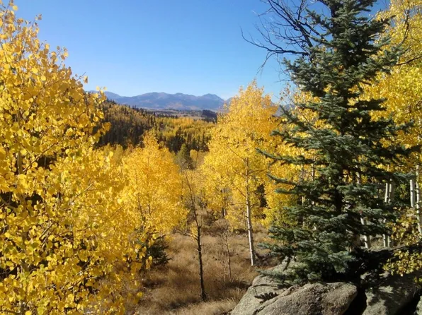 204 Strongbox Ct, Jefferson, CO 80456