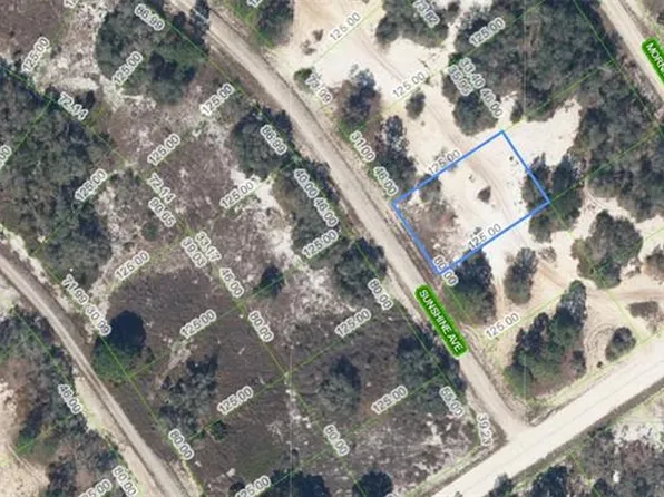 426 Sunshine Ave #45, Lake Placid, FL 33852