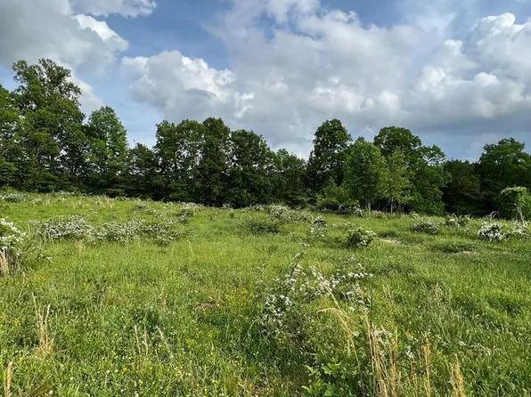 Sweet Crk, Eidson, TN 37731