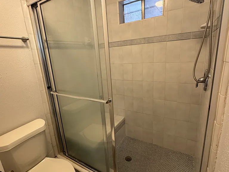 Master Bathroom Toilet and Shower with Tiled Bench