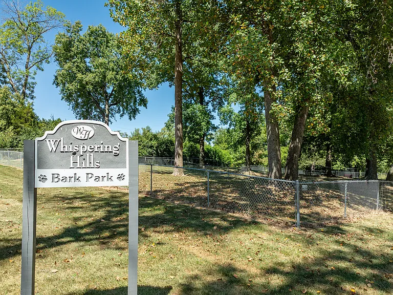 Dog Park