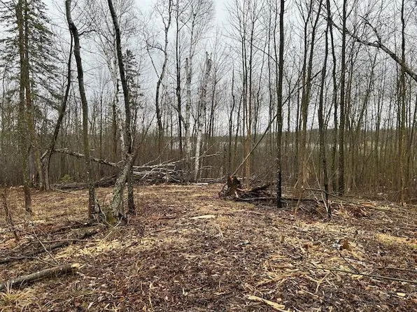 Minnesota St, Northome, MN 56661