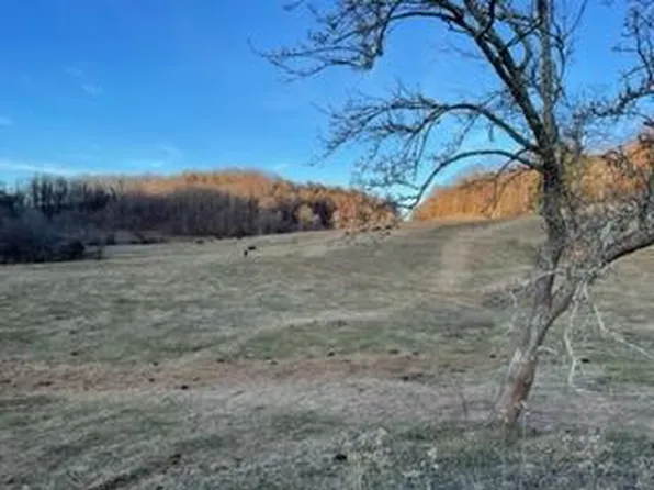 793 Coffeytown Rd, Vesuvius, VA 24483