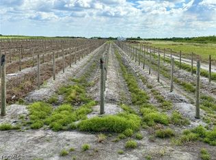 5567 5th Rd, Labelle, FL 33935