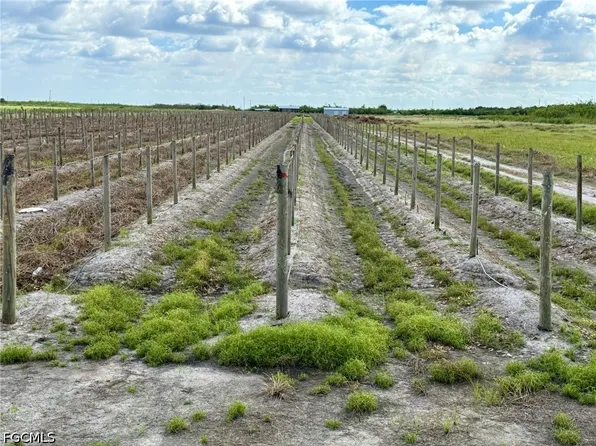 5567 5th Rd, Labelle, FL 33935