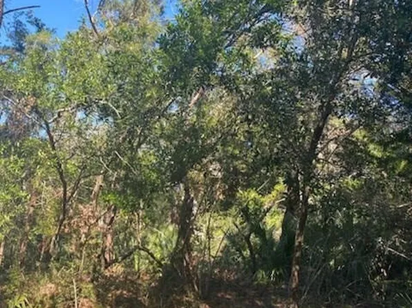 9 Laurel Cherry Ct Lot 437, Southport, NC 28461