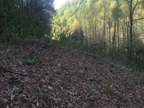 Mill Creek Rd, Fort Blackmore, VA 24250