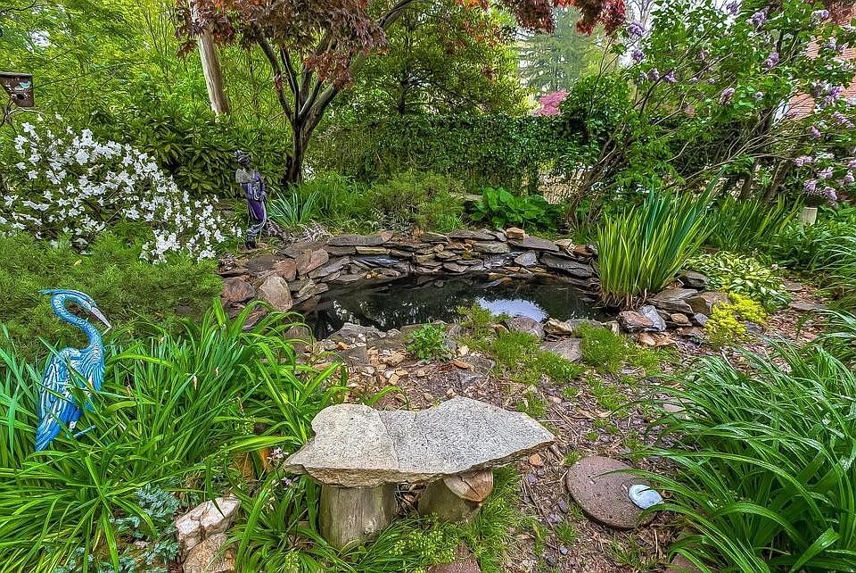 Rear of yard
