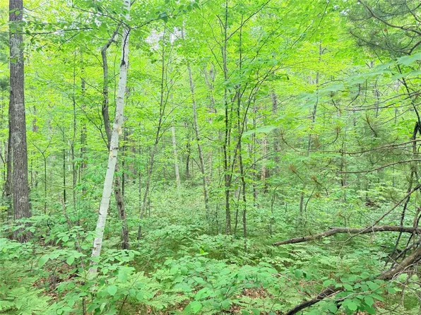 0 Schultz Lane, Stone Lake, WI 54876