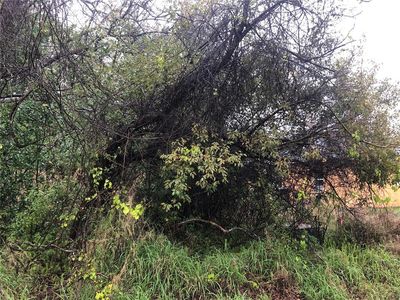 LAKE HARNEY ROAD LOT 0135, Osteen, FL, 32764