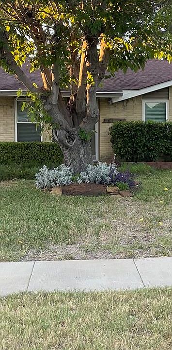1st image of 1119 Springwood Dr