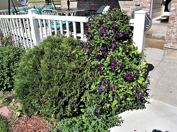 4th image of 3640 Richmond Dr